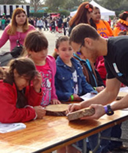 participants at TREE table